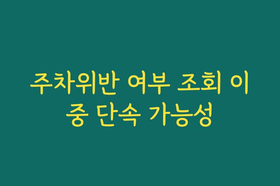주차위반 여부 조회 이중 단속 가능성