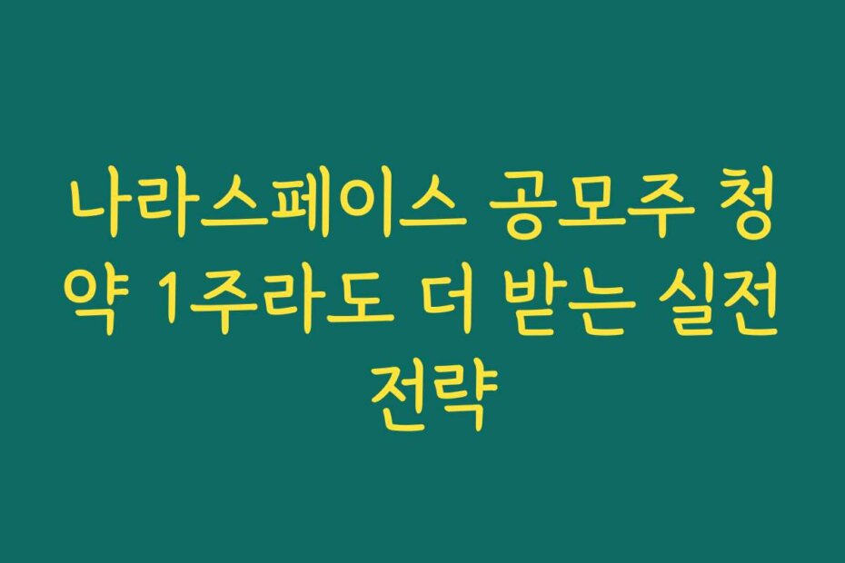 나라스페이스 공모주 청약 1주라도 더 받는 실전 전략