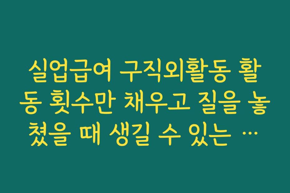 실업급여 구직외활동 활동 횟수만 채우고 질을 놓쳤을 때 생길 수 있는 문제