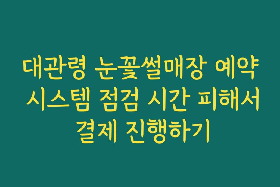 대관령 눈꽃썰매장 예약 시스템 점검 시간 피해서 결제 진행하기