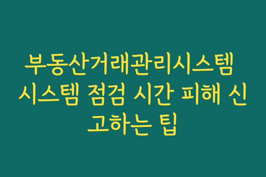 부동산거래관리시스템 시스템 점검 시간 피해 신고하는 팁