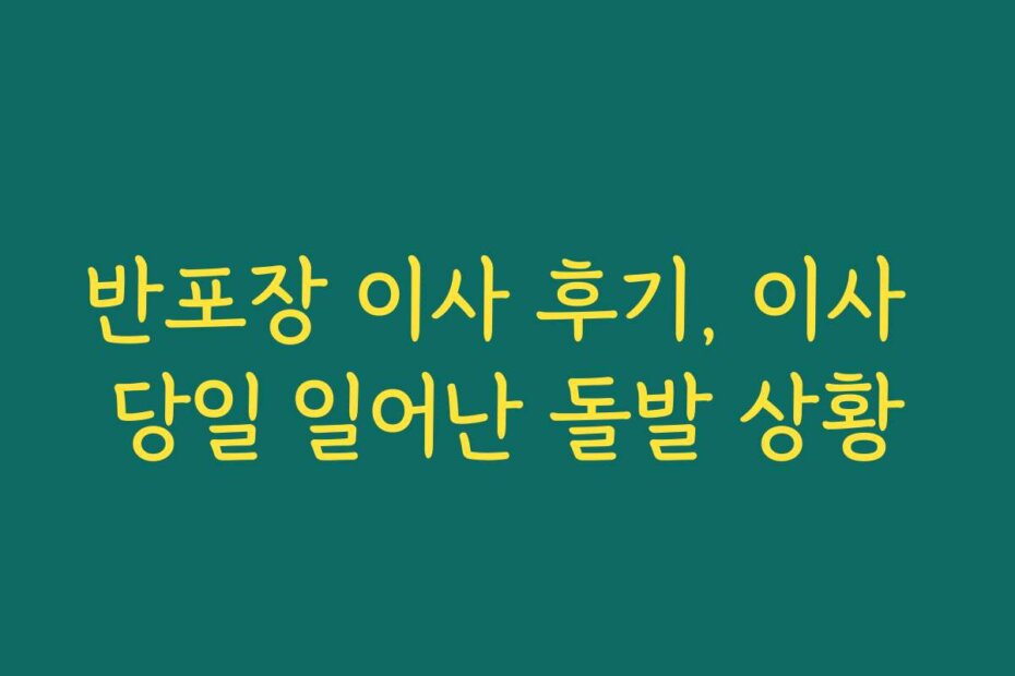 반포장 이사 후기, 이사 당일 일어난 돌발 상황