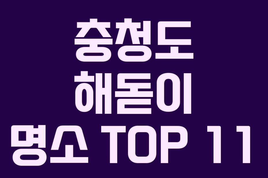 충청도 해돋이 명소 TOP 11