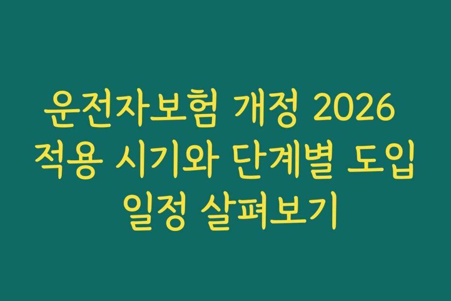운전자보험 개정 2026 적용 시기와 단계별 도입 일정 살펴보기