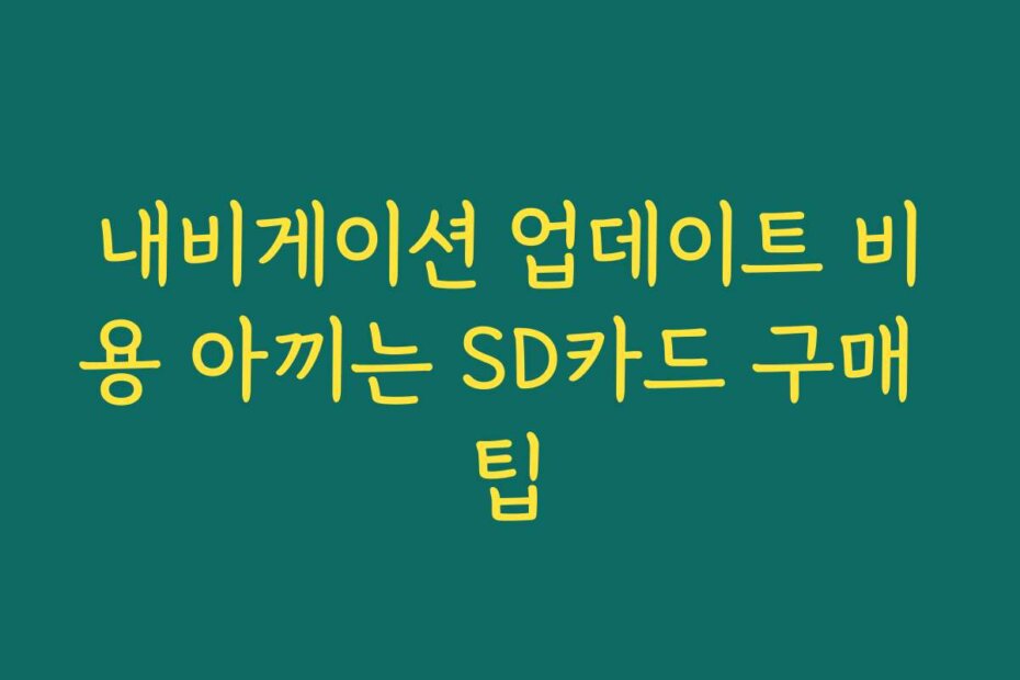내비게이션 업데이트 비용 아끼는 SD카드 구매 팁
