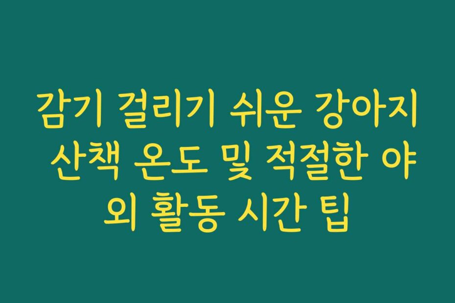 감기 걸리기 쉬운 강아지 산책 온도 및 적절한 야외 활동 시간 팁