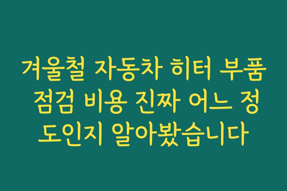 겨울철 자동차 히터 부품 점검 비용 진짜 어느 정도인지 알아봤습니다