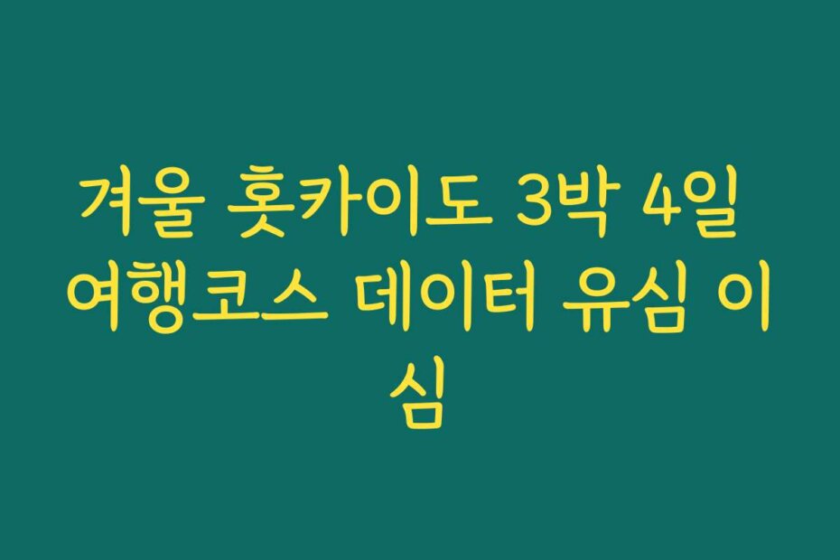 겨울 홋카이도 3박 4일 여행코스 데이터 유심 이심