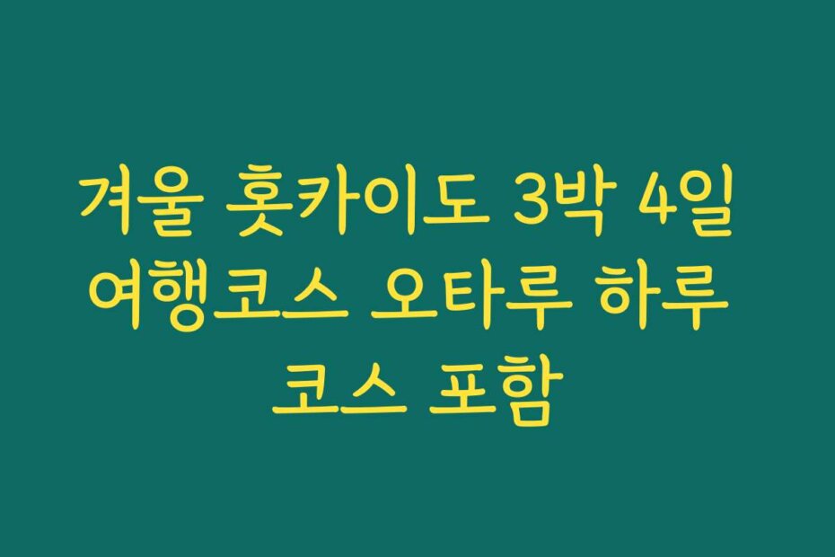 겨울 홋카이도 3박 4일 여행코스 오타루 하루 코스 포함