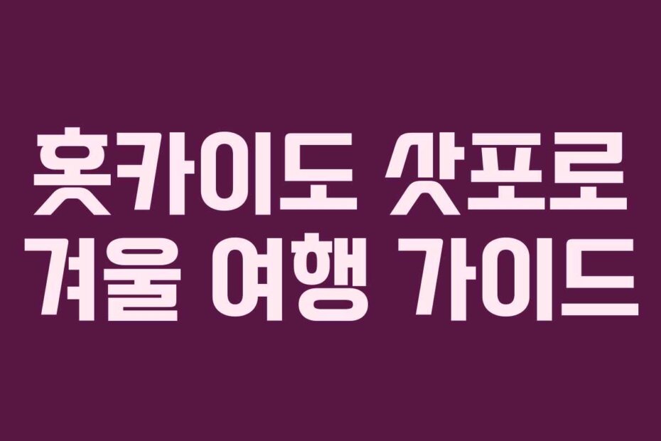 홋카이도 삿포로 겨울 여행 가이드