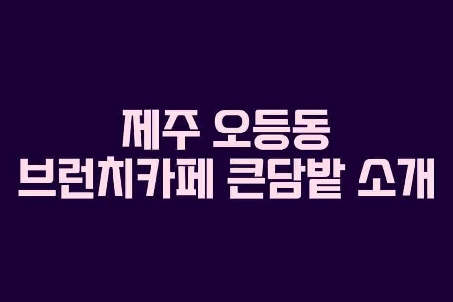 제주 오등동 브런치카페 큰담밭 소개