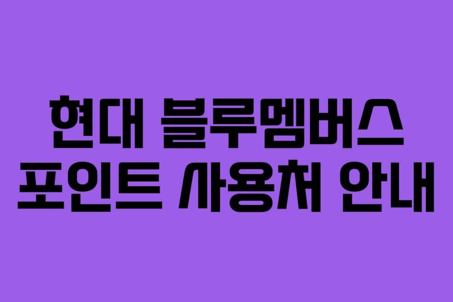 현대 블루멤버스 포인트 사용처 안내