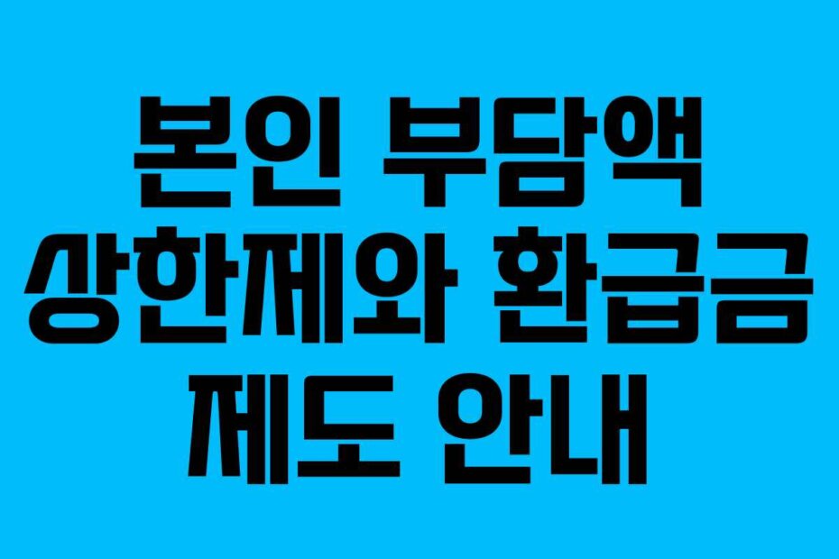 본인 부담액 상한제와 환급금 제도 안내