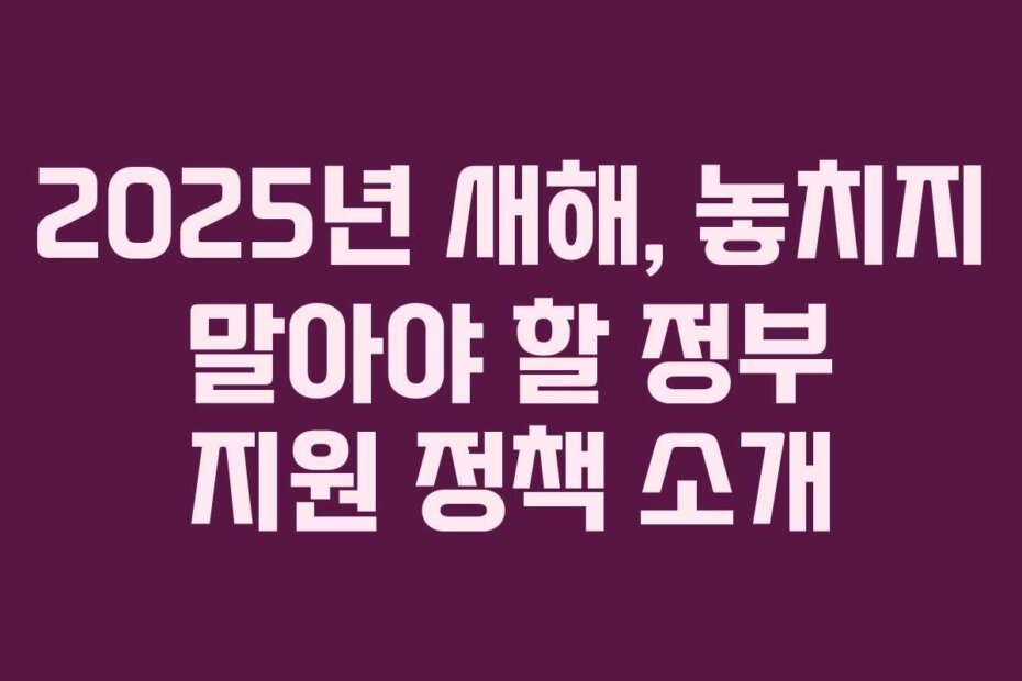 2025년 새해, 놓치지 말아야 할 정부 지원 정책 소개