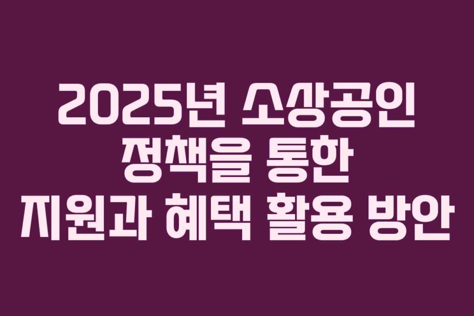 2025년 소상공인 정책을 통한 지원과 혜택 활용 방안