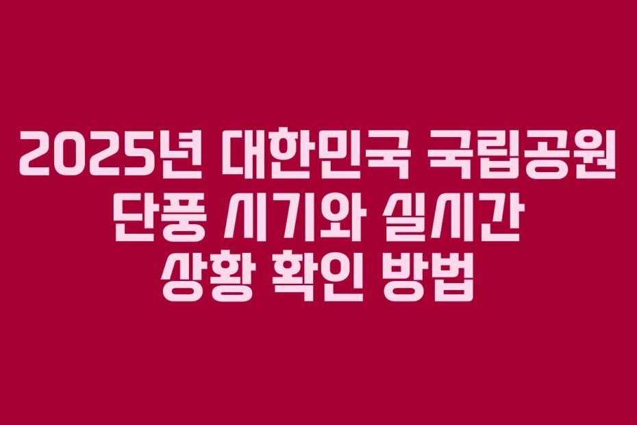 2025년 대한민국 국립공원 단풍 시기와 실시간 상황 확인 방법