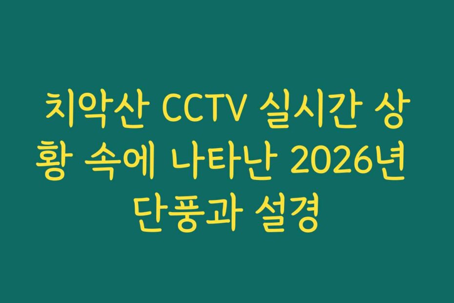치악산 CCTV 실시간 상황 속에 나타난 2026년 단풍과 설경