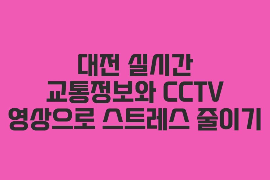 대전 실시간 교통정보와 CCTV 영상으로 스트레스 줄이기