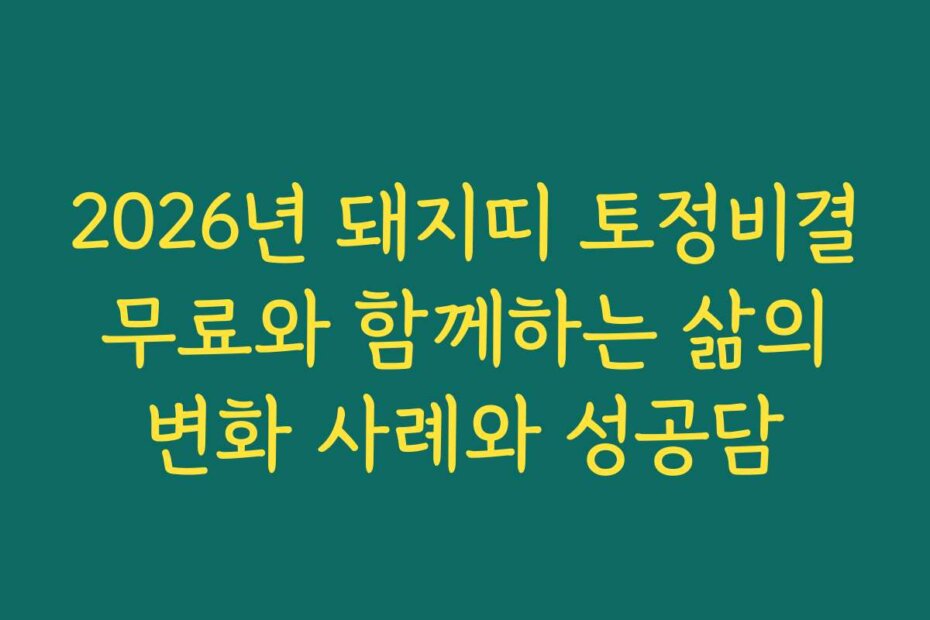 2026년 돼지띠 토정비결 무료와 함께하는 삶의 변화 사례와 성공담