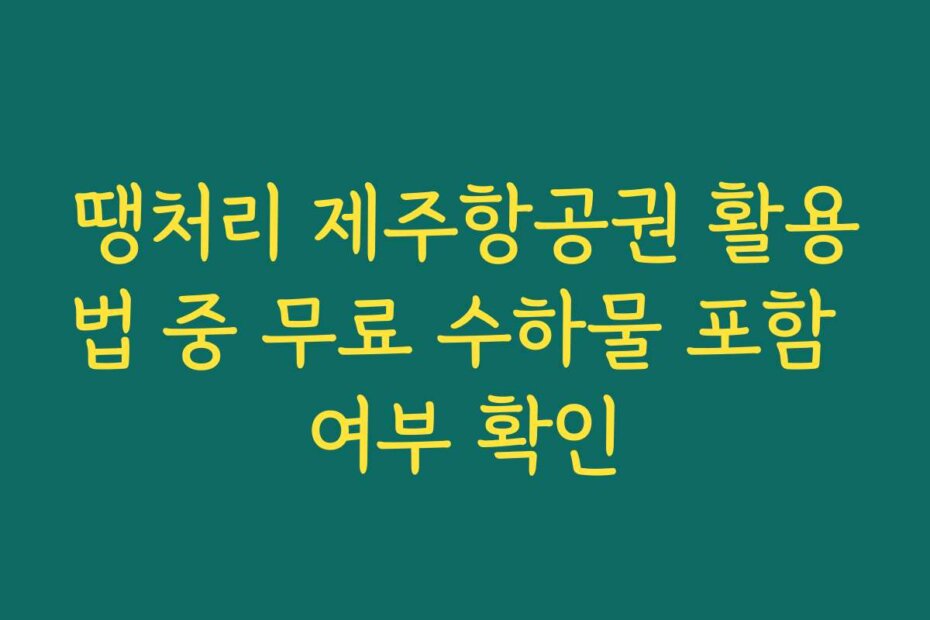 땡처리 제주항공권 활용법 중 무료 수하물 포함 여부 확인