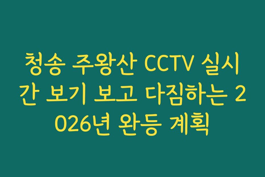 청송 주왕산 CCTV 실시간 보기 보고 다짐하는 2026년 완등 계획