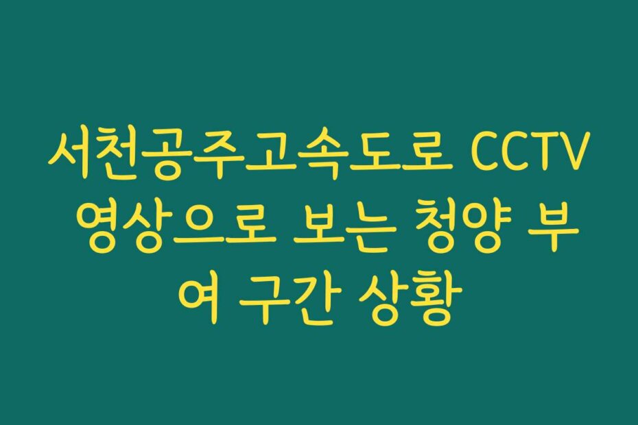 서천공주고속도로 CCTV 영상으로 보는 청양 부여 구간 상황