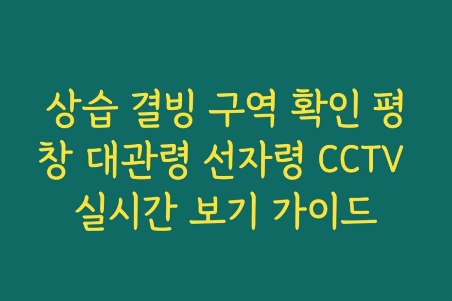 상습 결빙 구역 확인 평창 대관령 선자령 CCTV 실시간 보기 가이드