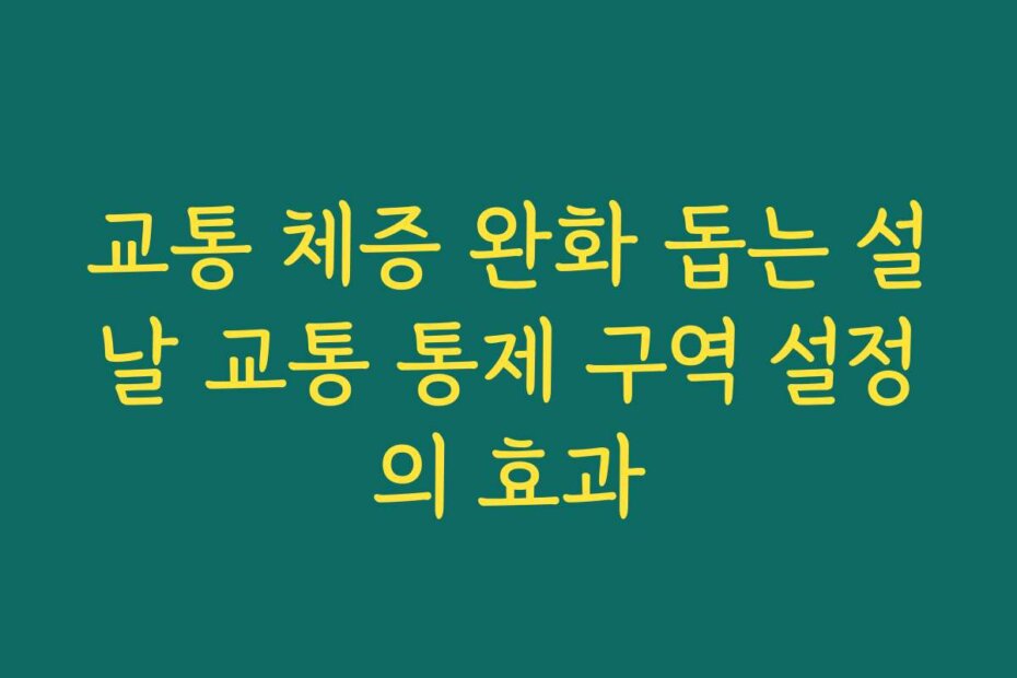 교통 체증 완화 돕는 설날 교통 통제 구역 설정의 효과