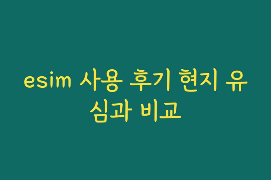 esim 사용 후기 현지 유심과 비교