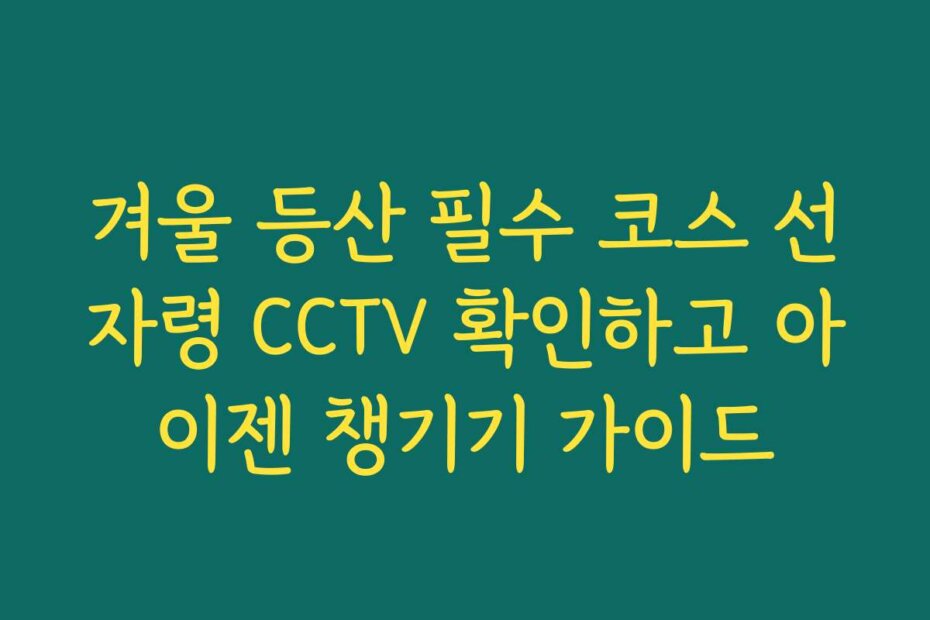 겨울 등산 필수 코스 선자령 CCTV 확인하고 아이젠 챙기기 가이드