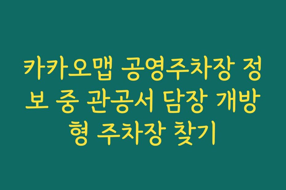 카카오맵 공영주차장 정보 중 관공서 담장 개방형 주차장 찾기
