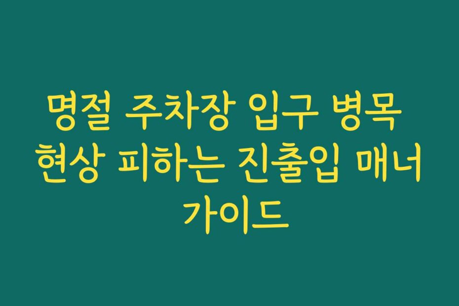 명절 주차장 입구 병목 현상 피하는 진출입 매너 가이드