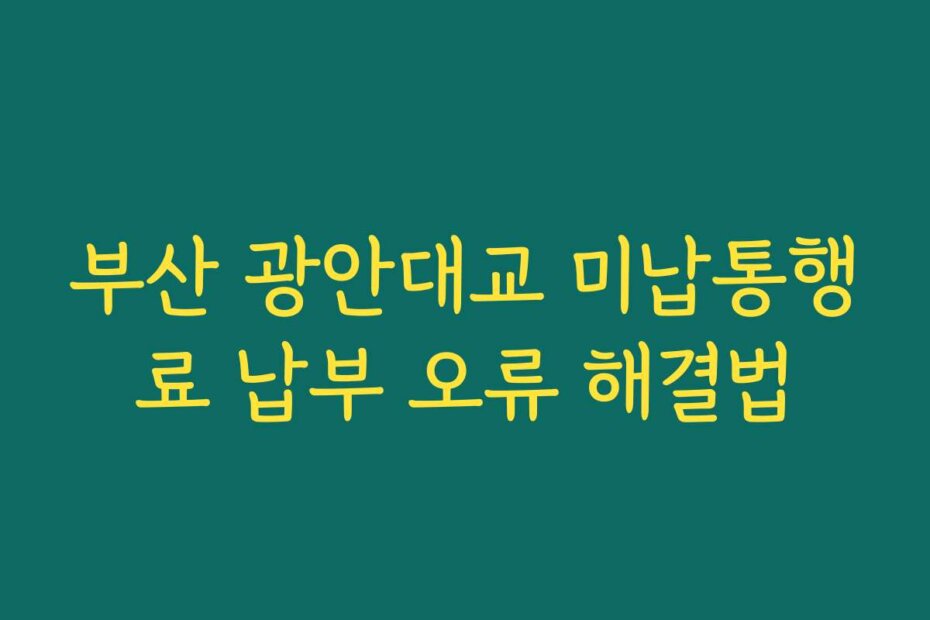 부산 광안대교 미납통행료 납부 오류 해결법