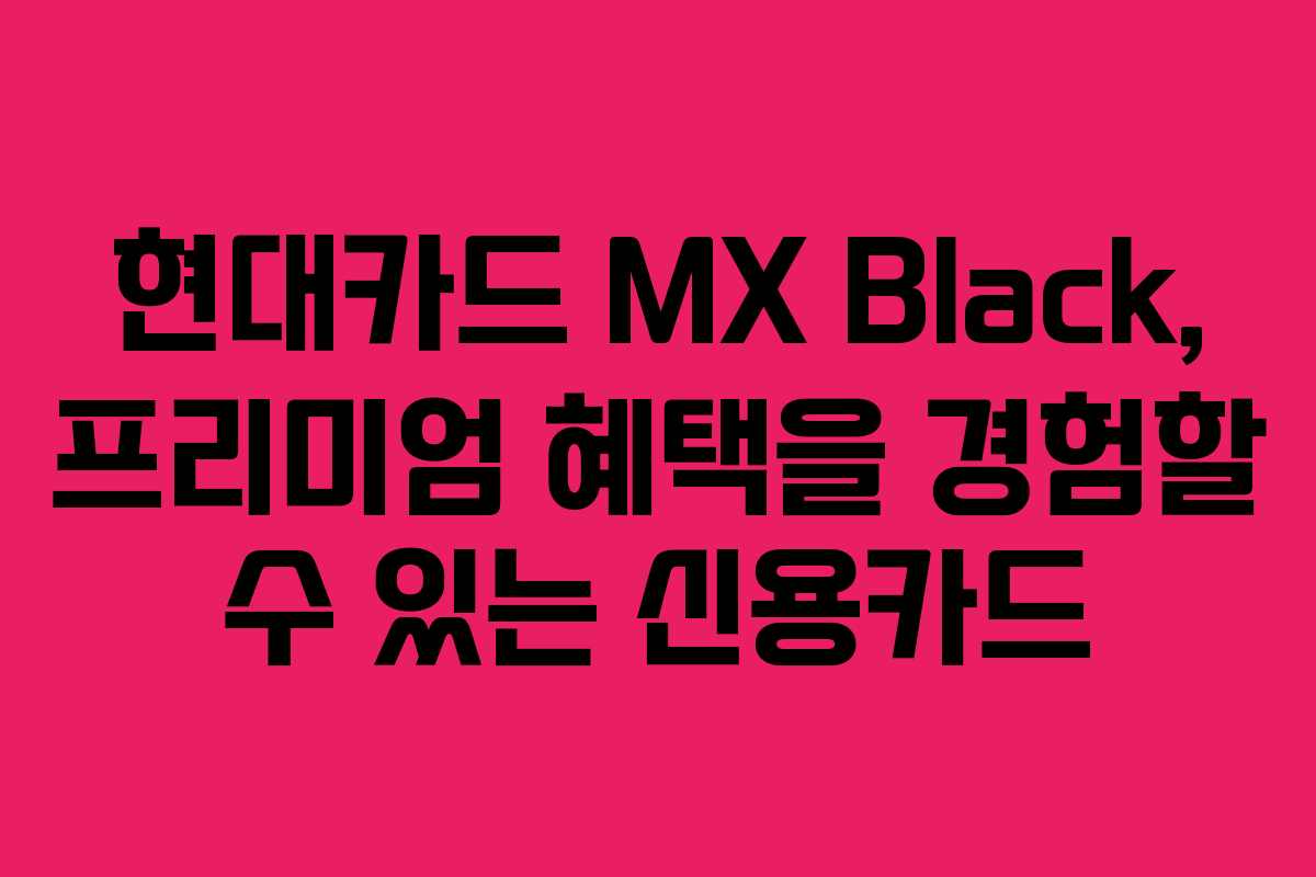 현대카드 MX Black, 프리미엄 혜택을 경험할 수 있는 신용카드