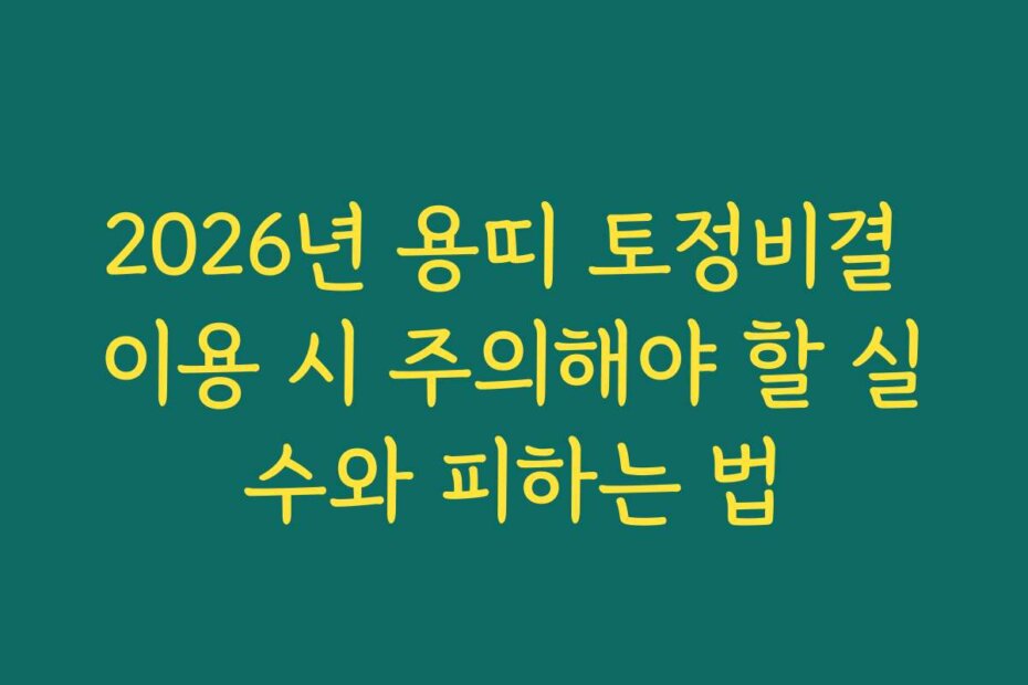 2026년 용띠 토정비결 이용 시 주의해야 할 실수와 피하는 법