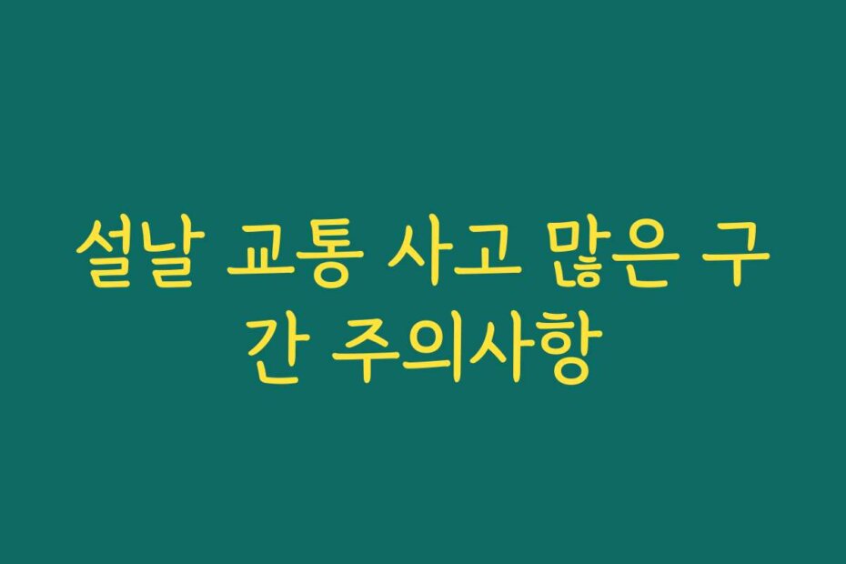설날 교통 사고 많은 구간 주의사항