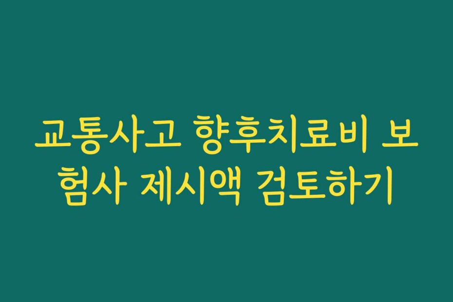 교통사고 향후치료비 보험사 제시액 검토하기