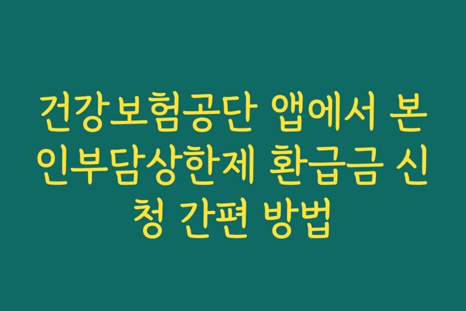건강보험공단 앱에서 본인부담상한제 환급금 신청 간편 방법
