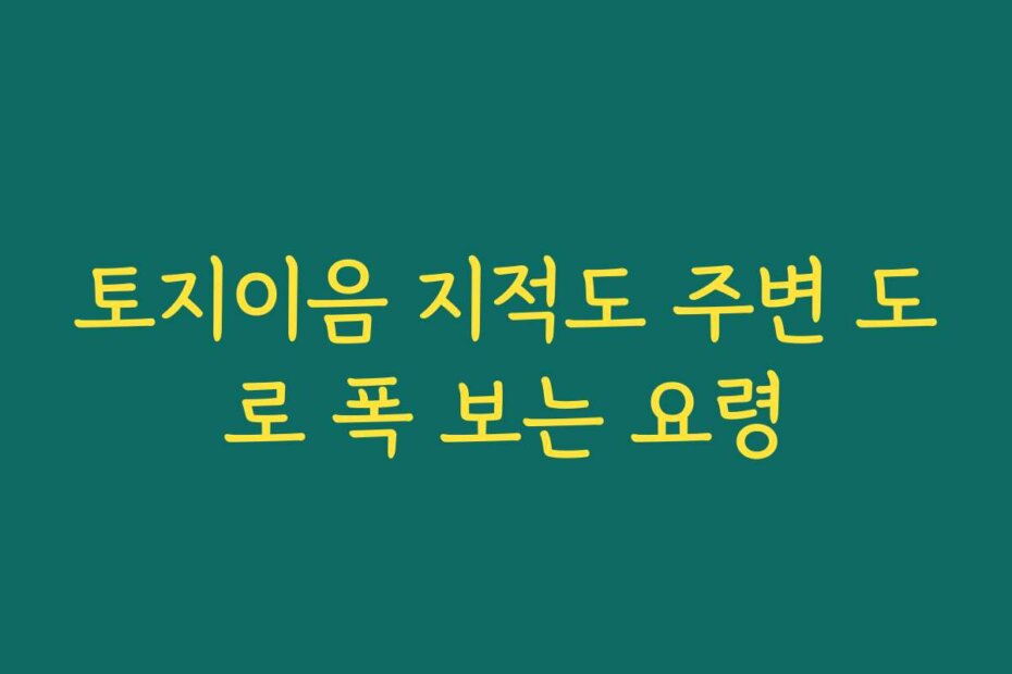 토지이음 지적도 주변 도로 폭 보는 요령