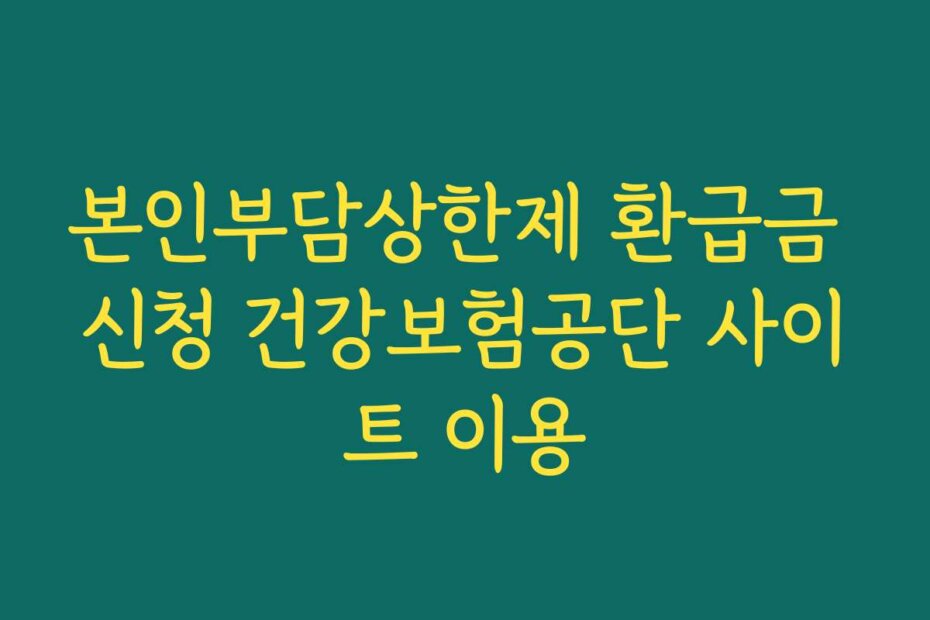 본인부담상한제 환급금 신청 건강보험공단 사이트 이용