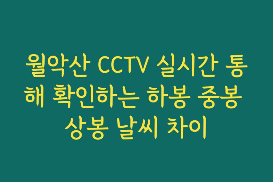 월악산 CCTV 실시간 통해 확인하는 하봉 중봉 상봉 날씨 차이