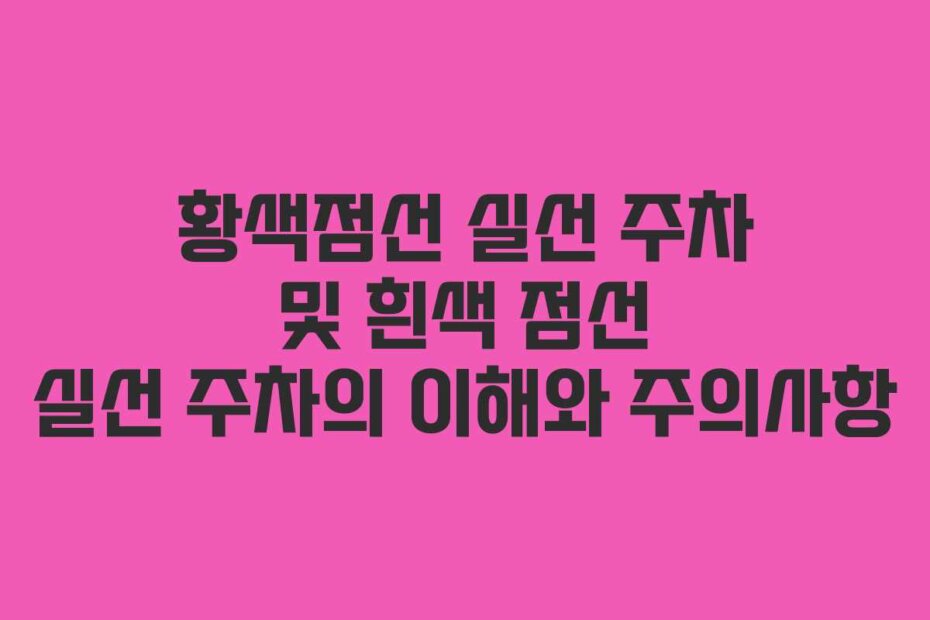 황색점선 실선 주차 및 흰색 점선 실선 주차의 이해와 주의사항