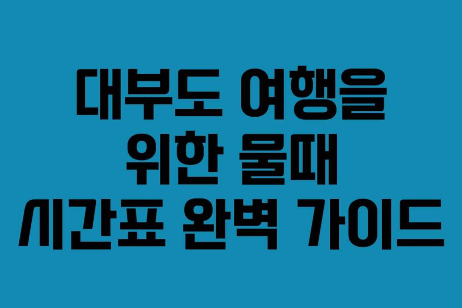 대부도 여행을 위한 물때 시간표 완벽 가이드
