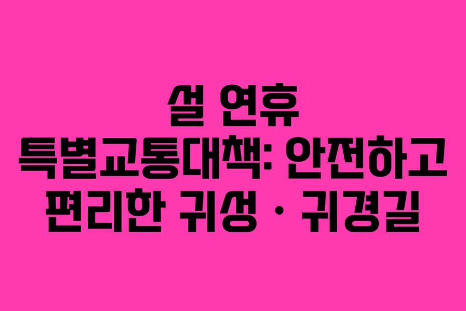 설 연휴 특별교통대책: 안전하고 편리한 귀성ㆍ귀경길