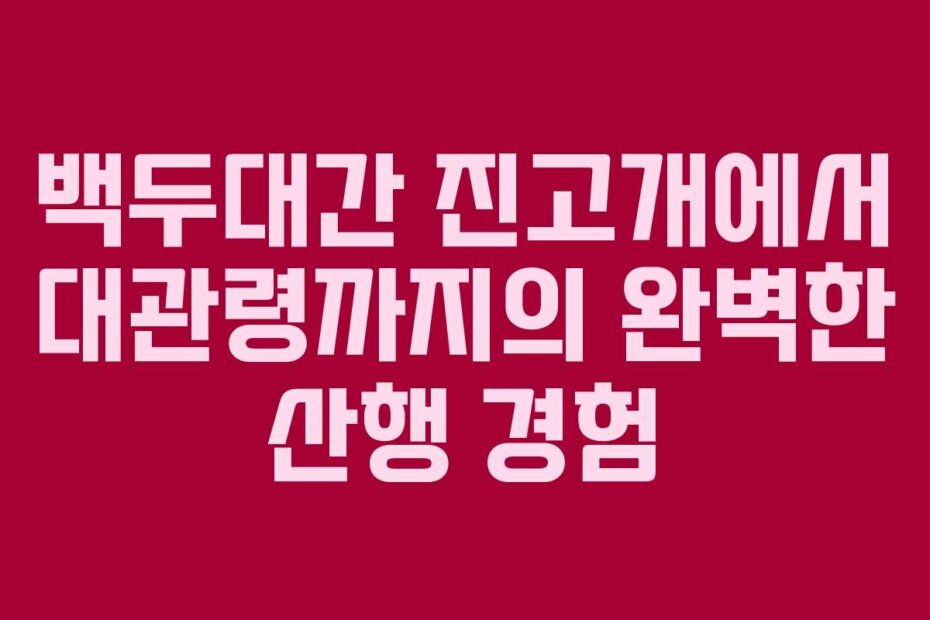 백두대간 진고개에서 대관령까지의 완벽한 산행 경험