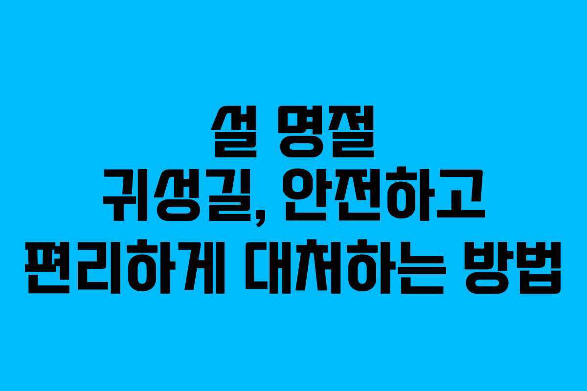 설 명절 귀성길, 안전하고 편리하게 대처하는 방법