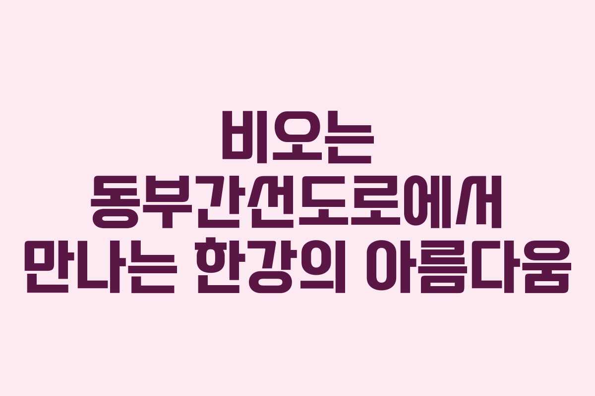 비오는 동부간선도로에서 만나는 한강의 아름다움