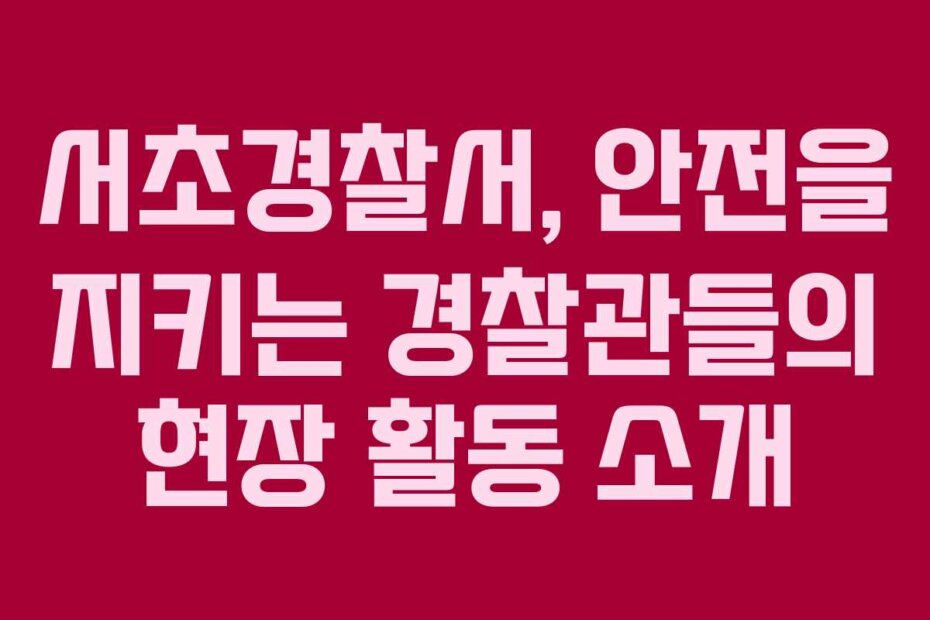 서초경찰서, 안전을 지키는 경찰관들의 현장 활동 소개