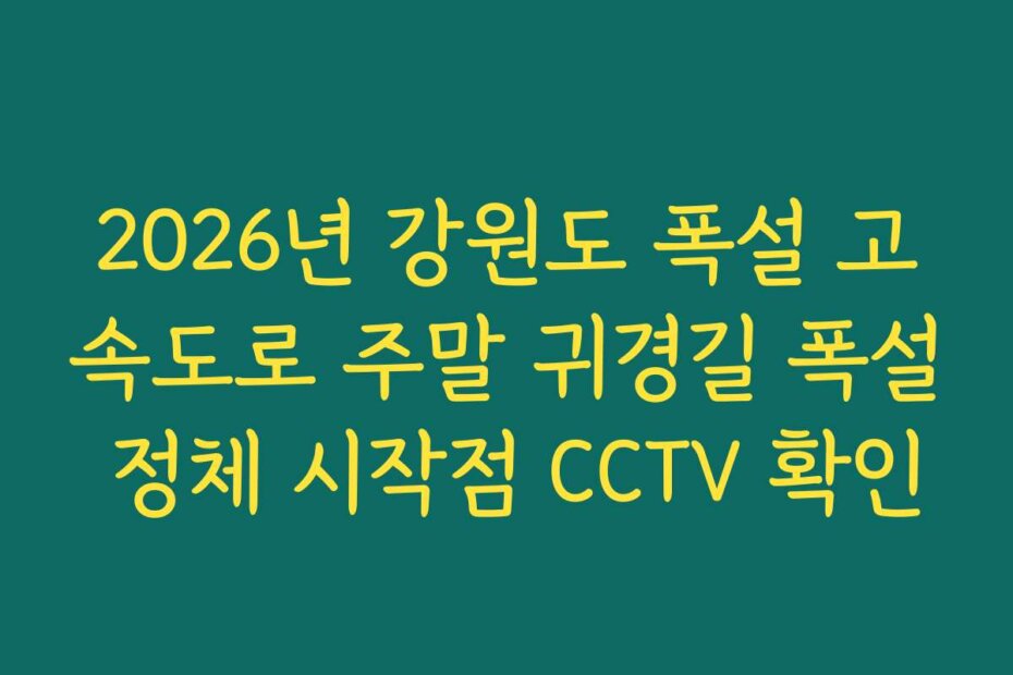 2026년 강원도 폭설 고속도로 주말 귀경길 폭설 정체 시작점 CCTV 확인