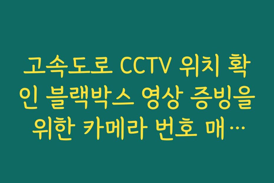 고속도로 CCTV 위치 확인 블랙박스 영상 증빙을 위한 카메라 번호 매칭법